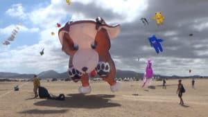 Fuerteventura International Kite Festival 2017