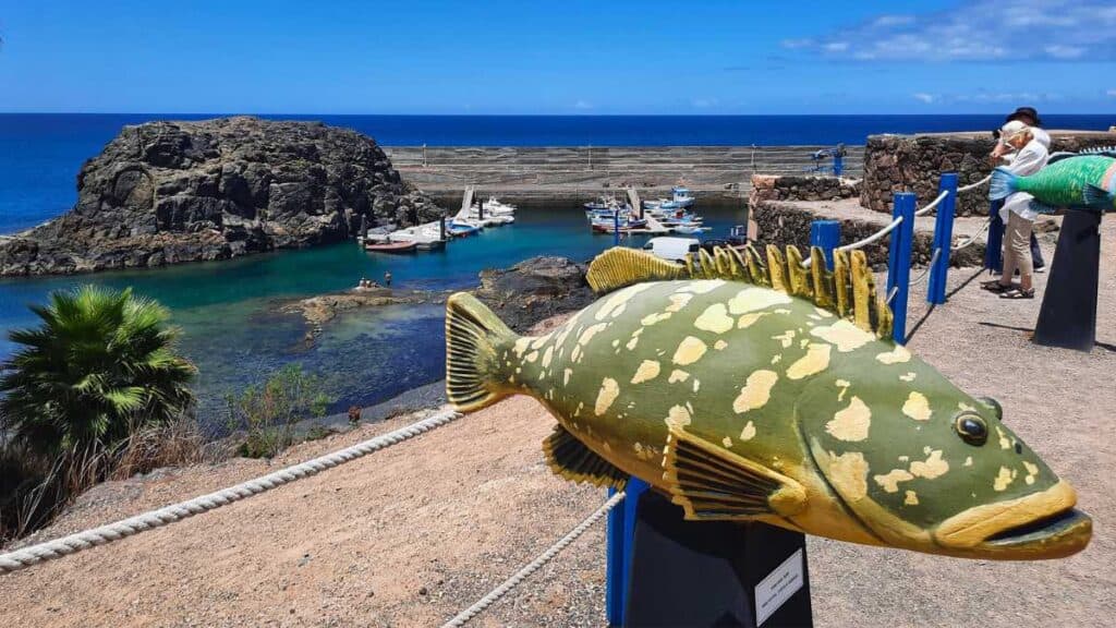 The New Harbour, El Cotillo